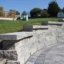 Load image into Gallery viewer, NICOLOCK ALTA WALL PRO