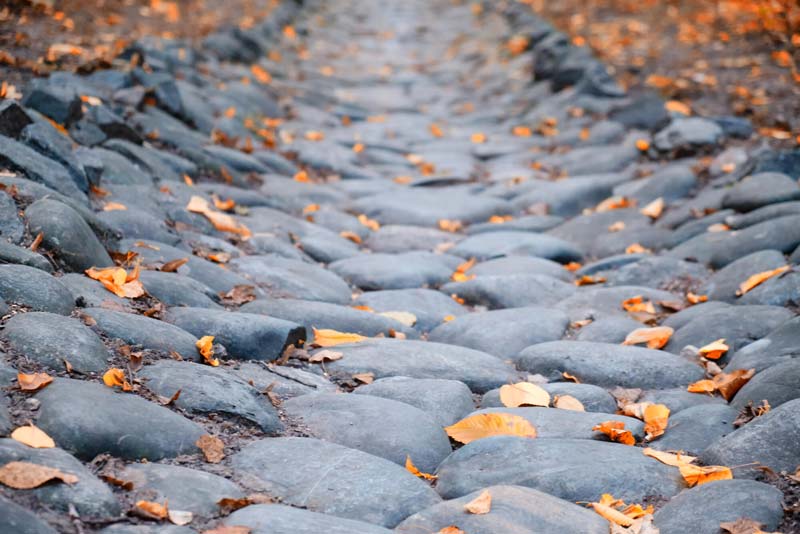 Expert Tips for Designing a French Drain for Your Property