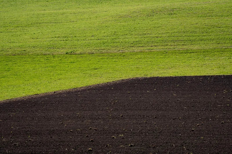Why Do Unscreened Soil Deliveries Ruin Commercial Sod Installs?