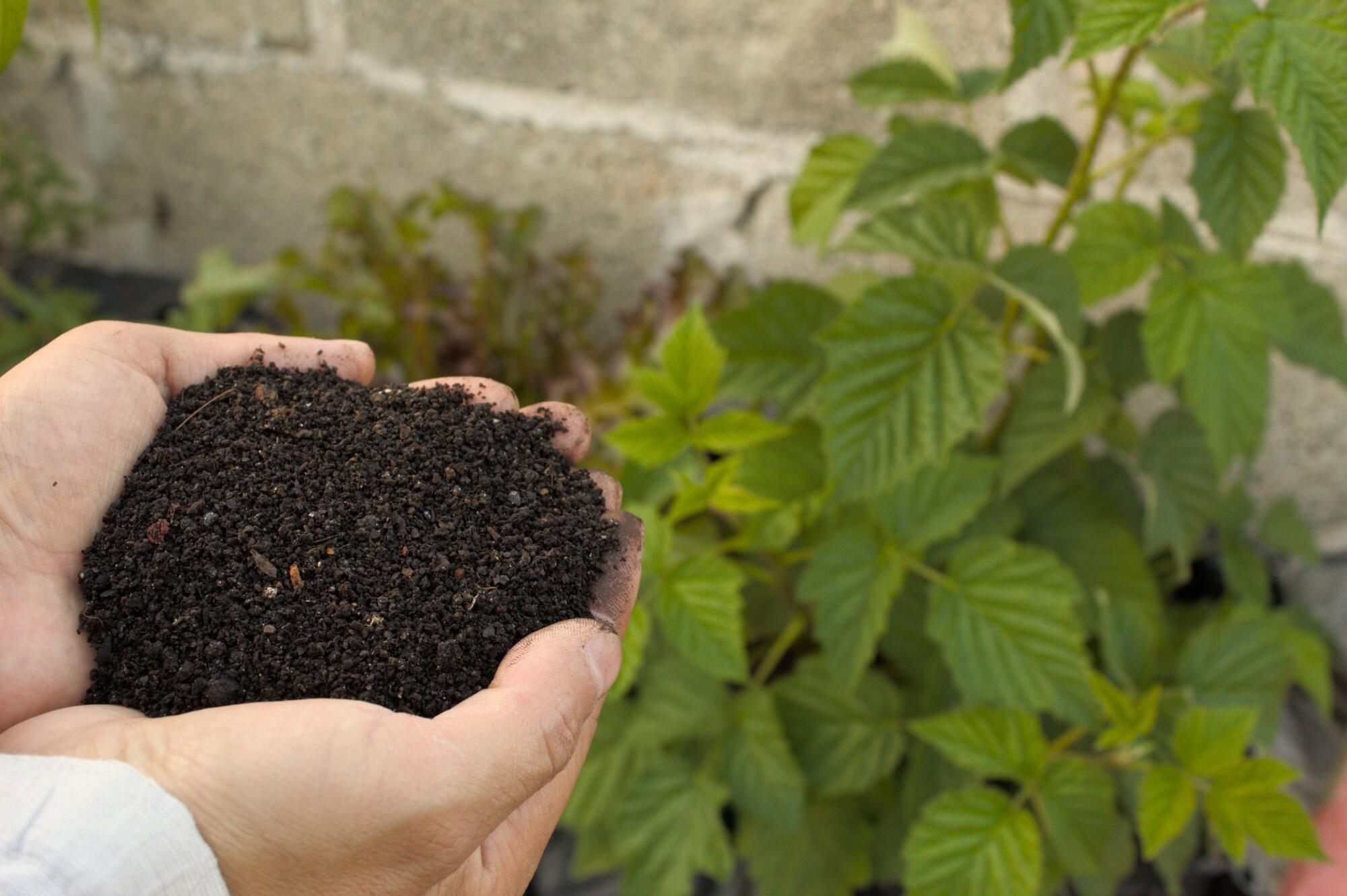 How to Calculate True Shrinkage Factors When Ordering Heavy Topsoil Volumes