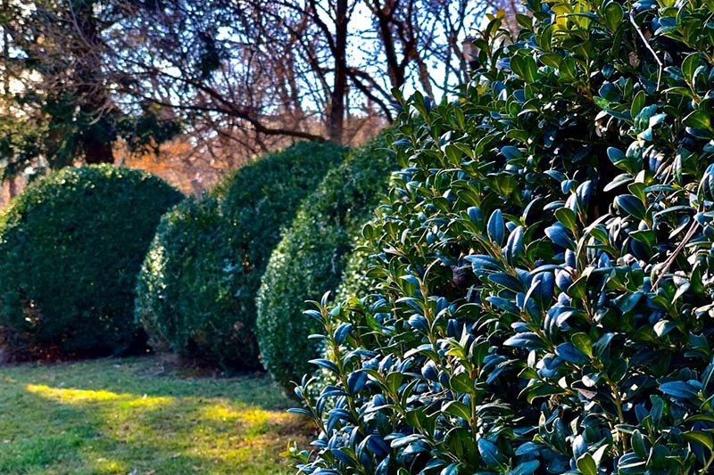 Discover Essential Landscaping Supplies for Stunning Yards