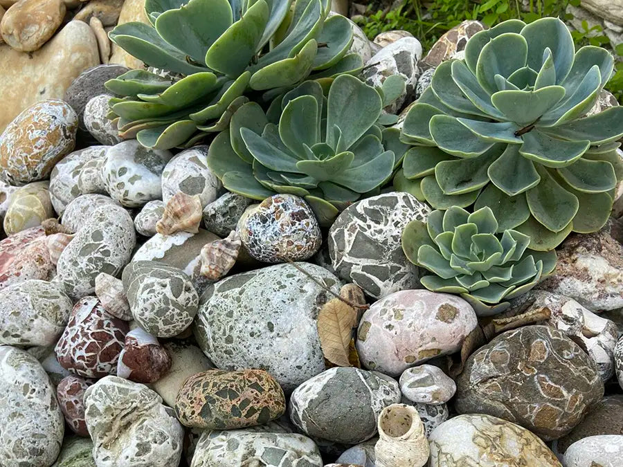 The Toxic Fallacy of Using Untreated Mine Tailings or Slag as Garden Rocks